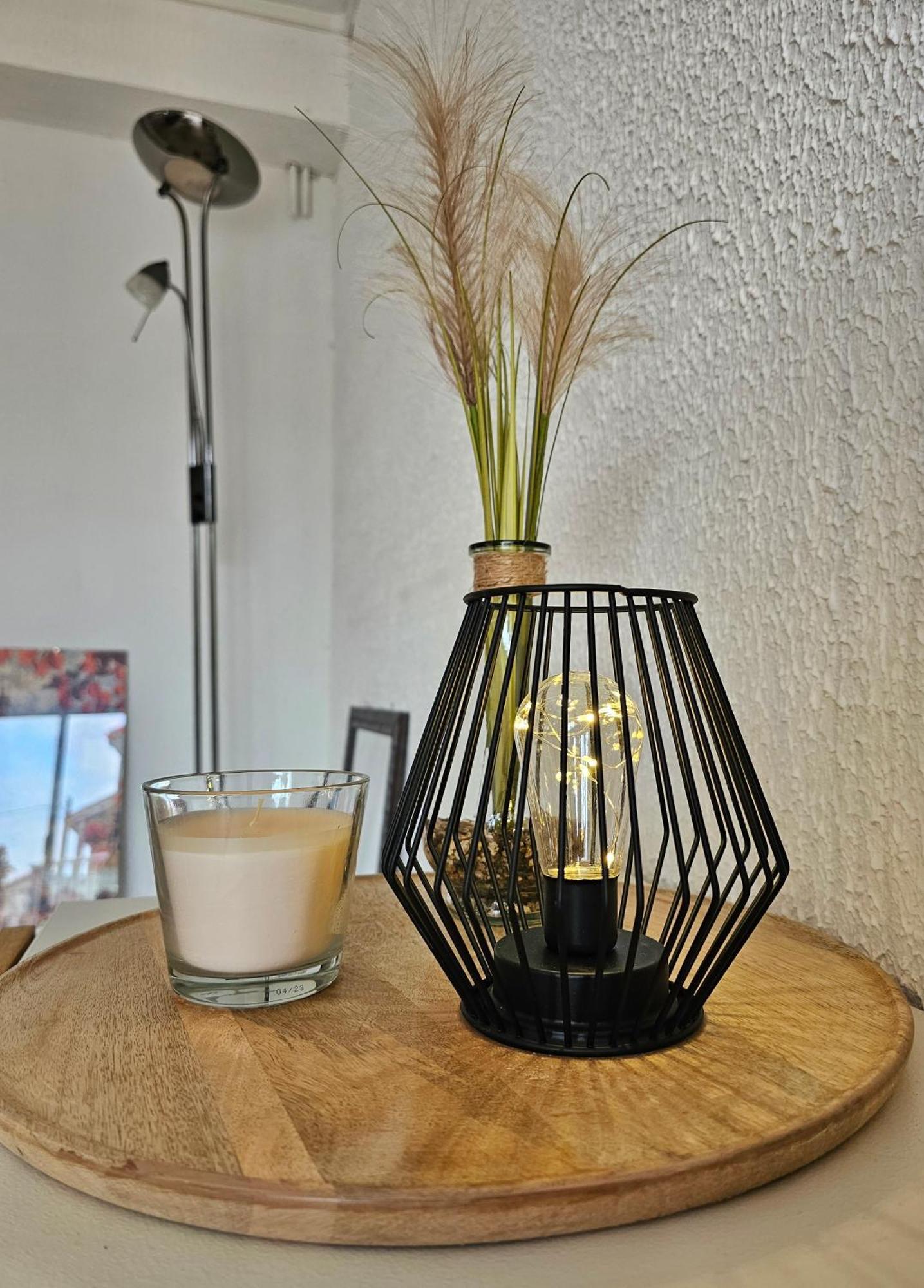 Appartement Lumineux Et Calme En Rez-de-jardin Castanet-Tolosan